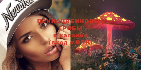 бутират Касимов